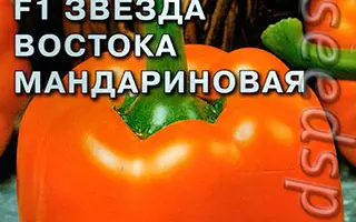 ЗВЕЗДА ВОСТОКА МАНДАРИНОВАЯ