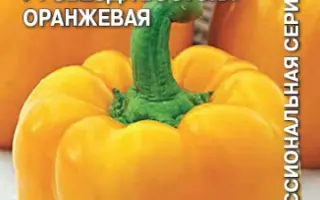 ЗВЕЗДА ВОСТОКА ОРАНЖЕВАЯ