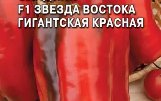 ЗВЕЗДА ВОСТОКА КРАСНАЯ