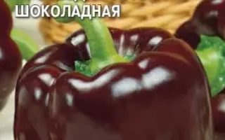 ЗВЕЗДА ВОСТОКА ШОКОЛАДНАЯ