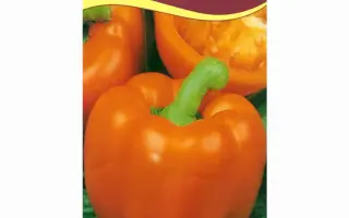 ОРАНЖ КЛАССИК