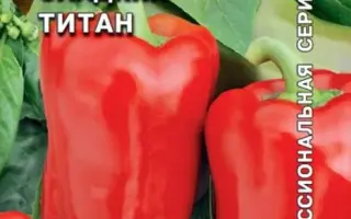 ТИТАН