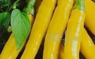 ЗОЛОТОЙ РОГ