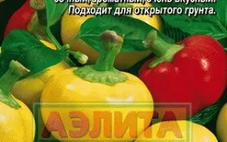 СУДАРУШКА