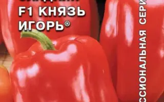 КНЯЗЬ ИГОРЬ