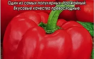КАЛИФОРНИЙСКОЕ ЧУДО