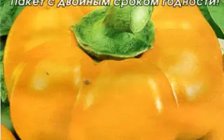 ЗОЛОТОЙ ДОЖДЬ