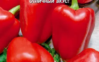 ПЕРВЕНЕЦ РОМАНЦОВА