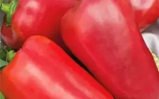 РОСТОВСКИЙ ЮБИЛЕЙНЫЙ