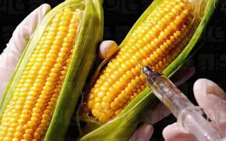 ПДА 09 ВИ Х ПРА 36 ВИ