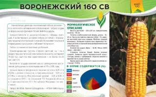 ВОРОНЕЖСКИЙ 150 СВ