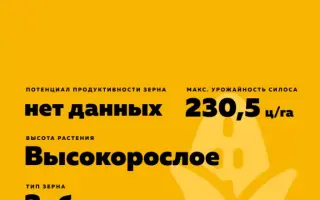 ЕГ 7077 ХТ ЦМС