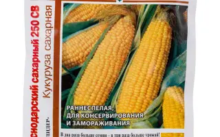 КРАСНОДАРСКИЙ 279