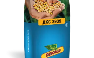 ЦСЦ 3156 Х ЛИН 2248