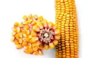 ДА 27-9 ВС, ЗМ