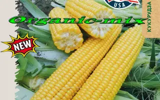 СХ 27/07-7 X CX 26/07-10