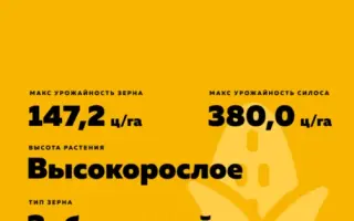 КРАСНОДАРСКИЙ 351 АМВ