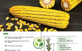 156 ЛА 337 Х 14 Б 001