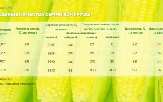 ГК 175 Х ГК 153