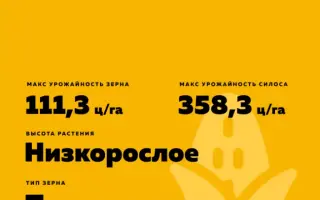 ВОРОНЕЖСКИЙ 130 МВ