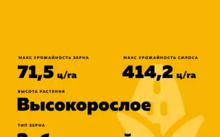 ВОРОНЕЖСКИЙ 192 СВ