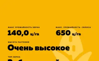 ЛАДОЖСКИЙ 202