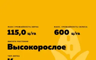 ЛАДОЖСКИЙ 190 МВ