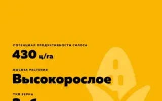 ЛАДОЖСКИЙ 245 МВ