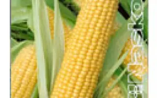 ДЛ 26 Х ЛИМЛАВ 75