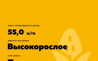 ЛС ПАРИСИАНА