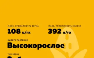 КРАСНОДАРСКИЙ 281 АМВ