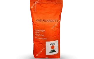 КВС РИКАРДО