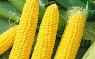 ЛЕН 1811 Х ЛИН 2246