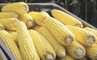 ЛИР 2232 Х ЛИР 2234