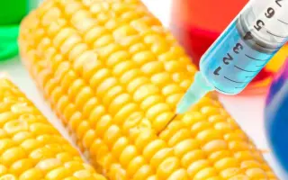 ЕГ 7097 Х ЕС 9504