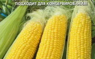 С 64423-3 Х С 74002