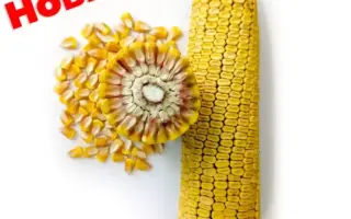 ЗОЛОТОЙ ПОЧАТОК 200 СВ