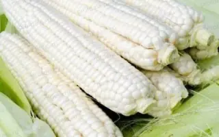 КАБАРДИНСКАЯ БЕЛАЯ ЗУБОВИДНАЯ