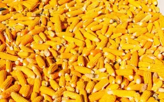 ЛАР 1492 Х ЛАР 1490