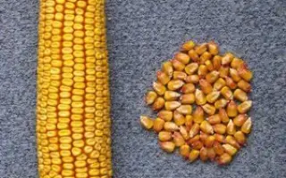 ПОВОЛЖСКИЙ 23 СВ