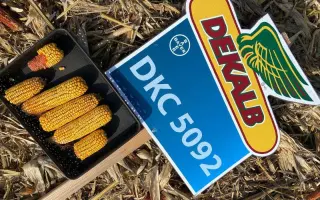 ЕГ 2099 Х ЕГ 2123