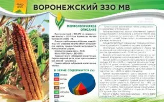 ВОРОНЕЖСКИЙ 330 МВ