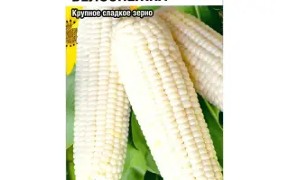 БЕЛОСНЕЖНЫЙ