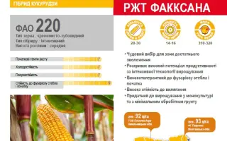 РЖТ ФАКСАНА