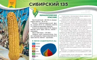 СИБИРСКИЙ 135