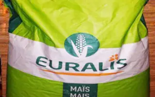 ЕС БРИЛЛАНТ