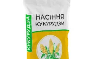 ЗАПОРОЖСКИЙ 333 МВ