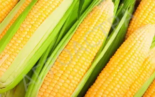 ЗЕРНОГРАДСКИЙ 288 МВ