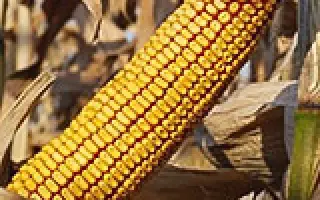 БЫСТРИЦА 400 МВ