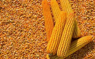 ЕГ 7027 Х ЕГ 7051